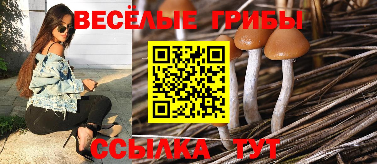 Галлюциногенные грибы прущие грибы Когалым