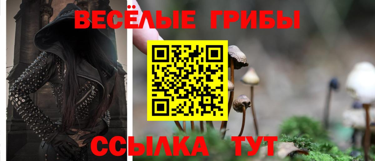 Когалым  где найти   Вход с VPN  Псилоцибиновые грибы Magic Shrooms 